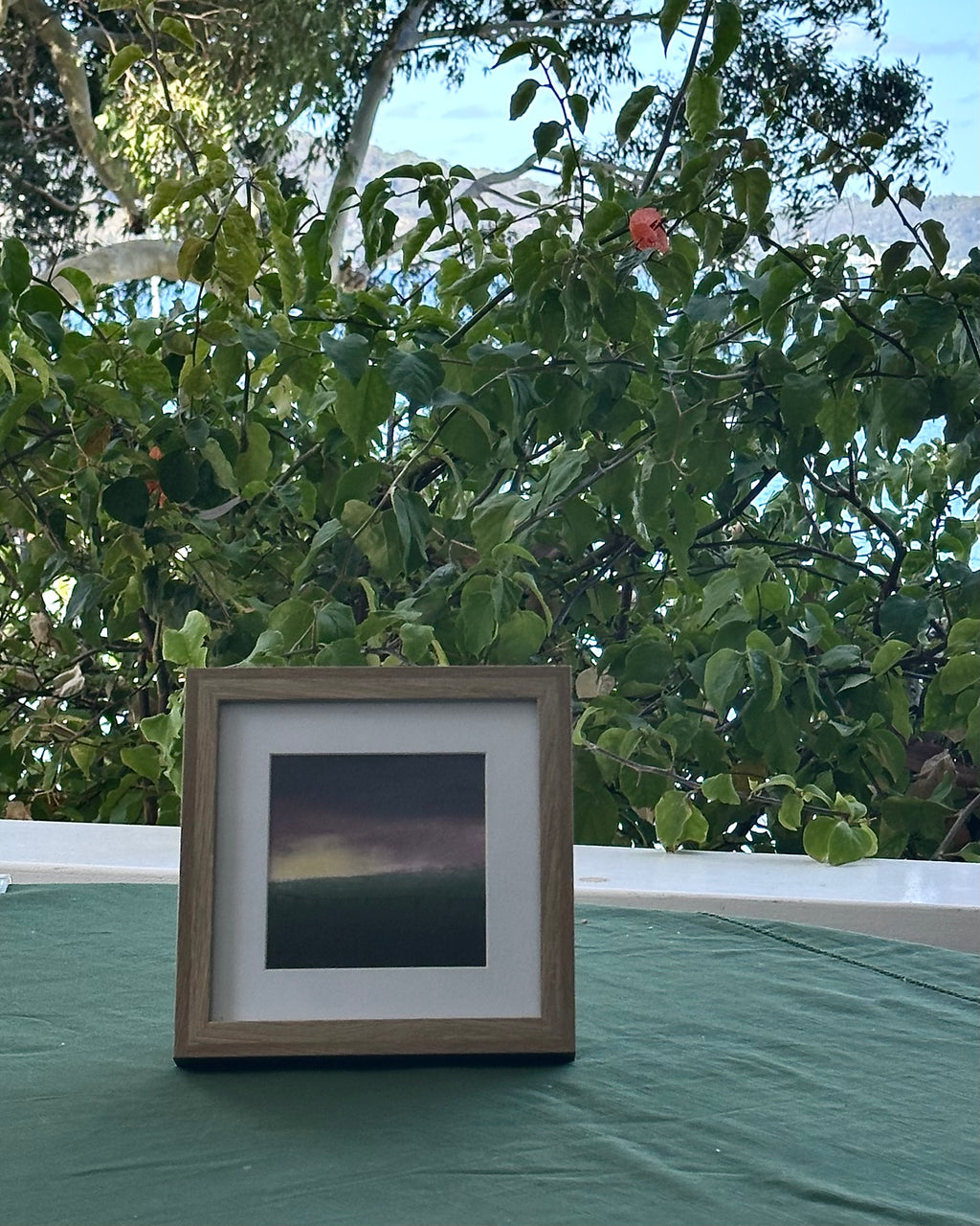 Sunset in Field - Print