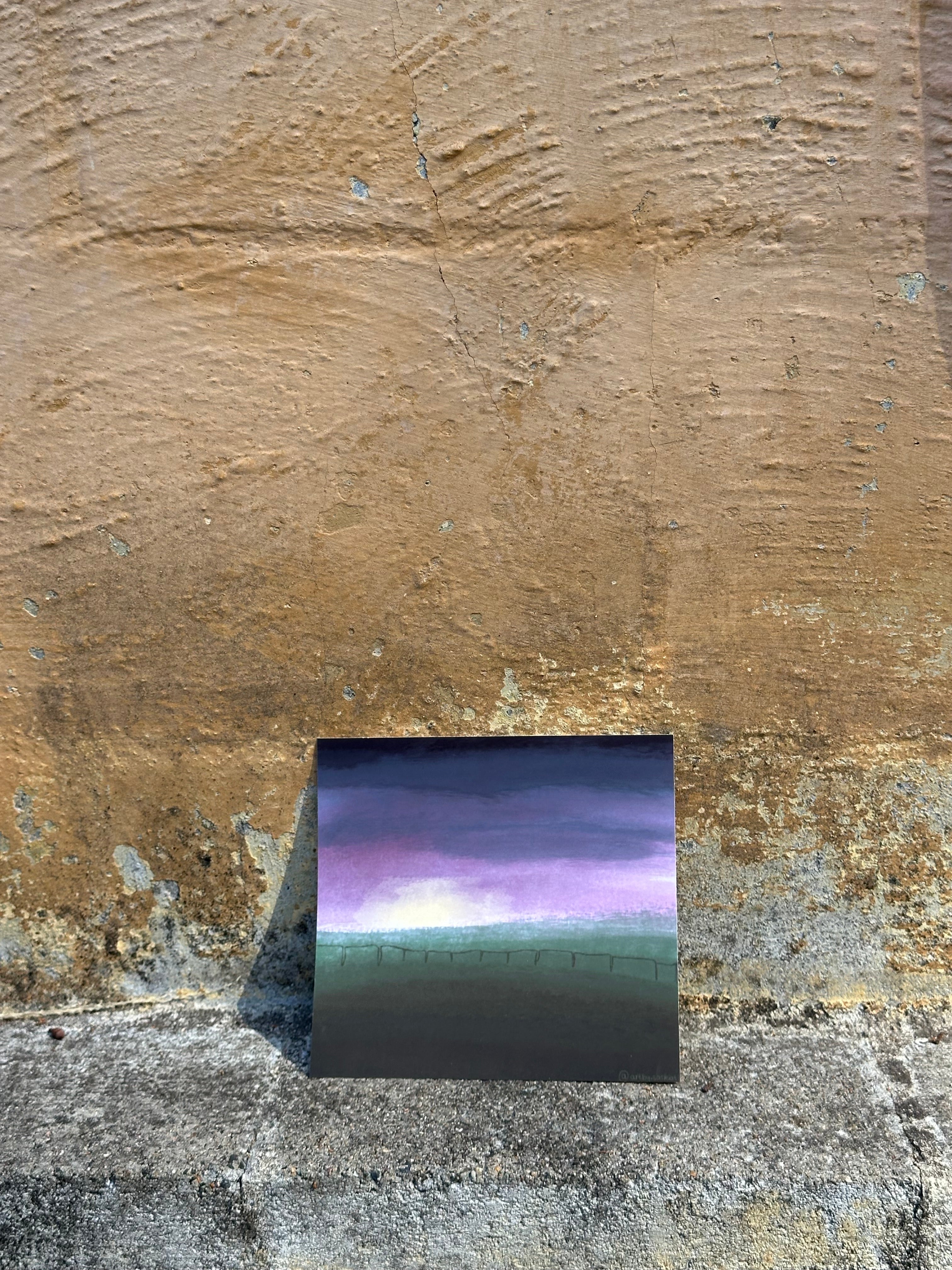 Sunset in Field - Print